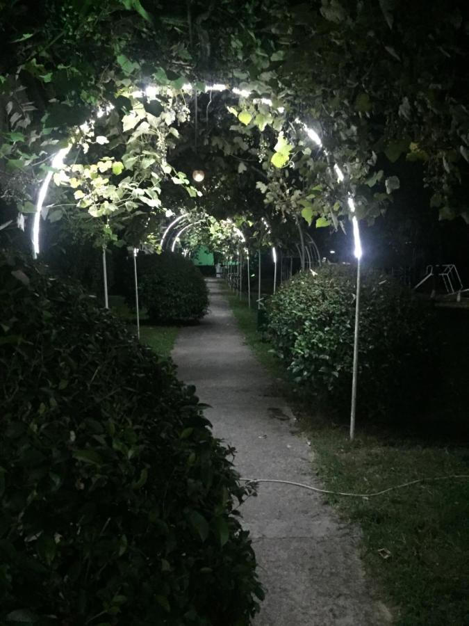 Baza Otdyha Miya Hotel Gudauta Luaran gambar