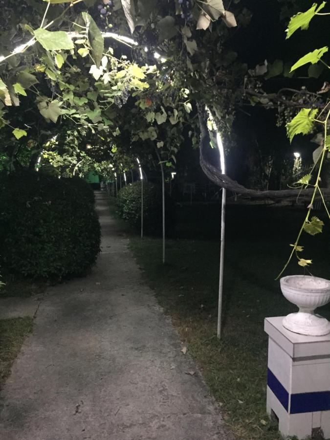 Baza Otdyha Miya Hotel Gudauta Luaran gambar